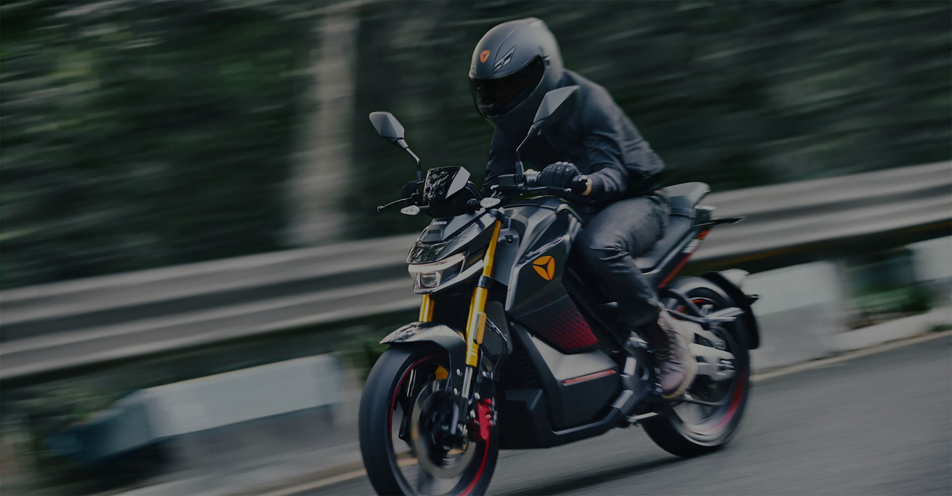 Prodaja električnih vozil